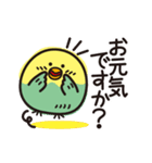 いんこまる♡楽しいスタンプ（個別スタンプ：15）
