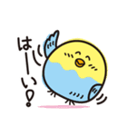 いんこまる♡楽しいスタンプ（個別スタンプ：18）