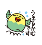 いんこまる♡楽しいスタンプ（個別スタンプ：24）