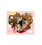 シン・パディとヴェルの日常(仮)（個別スタンプ：6）