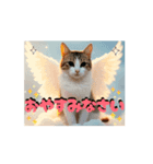 面白うごく猫スタンプ♡ゆるっと敬語♡（個別スタンプ：4）
