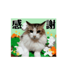 面白うごく猫スタンプ♡ゆるっと敬語♡（個別スタンプ：7）