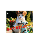 面白うごく猫スタンプ♡ゆるっと敬語♡（個別スタンプ：12）