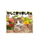 面白うごく猫スタンプ♡ゆるっと敬語♡（個別スタンプ：13）