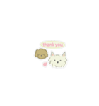 動く！もこぷりスタンプ（個別スタンプ：4）