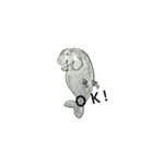 Aban-kun of Dugon（個別スタンプ：4）