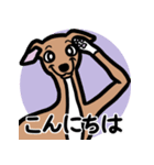 【レッド4】1年中使えるイタグレのスタンプ（個別スタンプ：2）