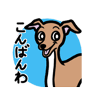 【レッド4】1年中使えるイタグレのスタンプ（個別スタンプ：3）