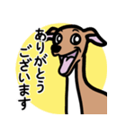 【レッド4】1年中使えるイタグレのスタンプ（個別スタンプ：5）