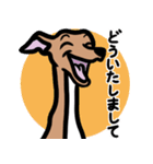 【レッド4】1年中使えるイタグレのスタンプ（個別スタンプ：6）