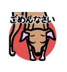 【レッド4】1年中使えるイタグレのスタンプ（個別スタンプ：7）