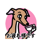 【レッド4】1年中使えるイタグレのスタンプ（個別スタンプ：8）