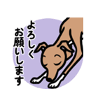 【レッド4】1年中使えるイタグレのスタンプ（個別スタンプ：9）