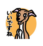 【レッド4】1年中使えるイタグレのスタンプ（個別スタンプ：13）