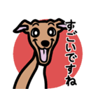 【レッド4】1年中使えるイタグレのスタンプ（個別スタンプ：14）
