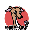 【レッド4】1年中使えるイタグレのスタンプ（個別スタンプ：21）