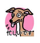 【レッド4】1年中使えるイタグレのスタンプ（個別スタンプ：22）