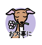 【レッド4】1年中使えるイタグレのスタンプ（個別スタンプ：23）