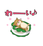 幸運の知らせ方（個別スタンプ：2）