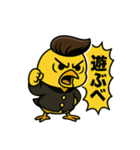 CS✨リーゼントぴよ（個別スタンプ：1）