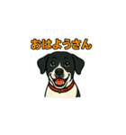 和歌山弁の犬（石松）（個別スタンプ：1）
