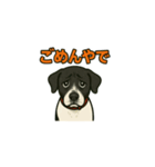 和歌山弁の犬（石松）（個別スタンプ：3）