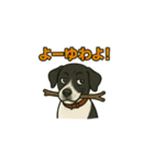 和歌山弁の犬（石松）（個別スタンプ：4）