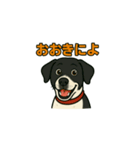 和歌山弁の犬（石松）（個別スタンプ：5）