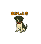 和歌山弁の犬（石松）（個別スタンプ：7）