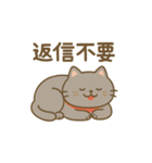 猫の日常あいさつスタンプにゃん（個別スタンプ：23）
