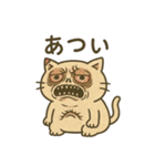 ふわねこ日和・キモかわスタンプ（個別スタンプ：13）