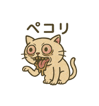 ふわねこ日和・キモかわスタンプ（個別スタンプ：14）