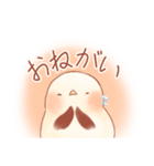 使いやすい！ふんわりシマエナガスタンプ（個別スタンプ：10）
