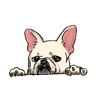 フレンチブルのめいちゃん（個別スタンプ：6）