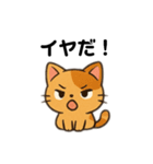 かわいい猫の毎日スタンプ(日常、挨拶)（個別スタンプ：4）