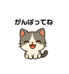 かわいい猫の毎日スタンプ(日常、挨拶)（個別スタンプ：9）