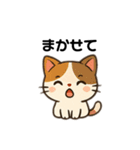 かわいい猫の毎日スタンプ(日常、挨拶)（個別スタンプ：13）