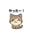 かわいい猫の毎日スタンプ(日常、挨拶)（個別スタンプ：16）