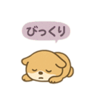 ぽかぽか 動物日和（個別スタンプ：39）