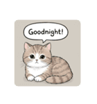 子猫の一言イラスト編-1（個別スタンプ：7）