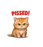 子猫の一言イラスト編-1（個別スタンプ：13）