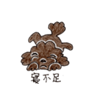 こげ茶のトイプー ベルちゃん（個別スタンプ：7）
