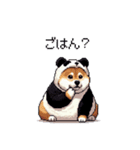 ふとっちょ柴犬のパンダフルライフ2（個別スタンプ：10）
