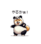 ふとっちょ柴犬のパンダフルライフ2（個別スタンプ：13）
