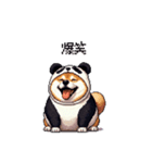 ふとっちょ柴犬のパンダフルライフ2（個別スタンプ：30）