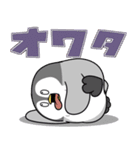 太っちょペンギン【バイオレンス編】（個別スタンプ：39）