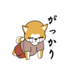 秋田犬の恋愛（個別スタンプ：1）