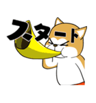 秋田犬の恋愛（個別スタンプ：4）