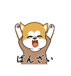 秋田犬の恋愛（個別スタンプ：12）