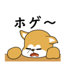 秋田犬の恋愛（個別スタンプ：26）
